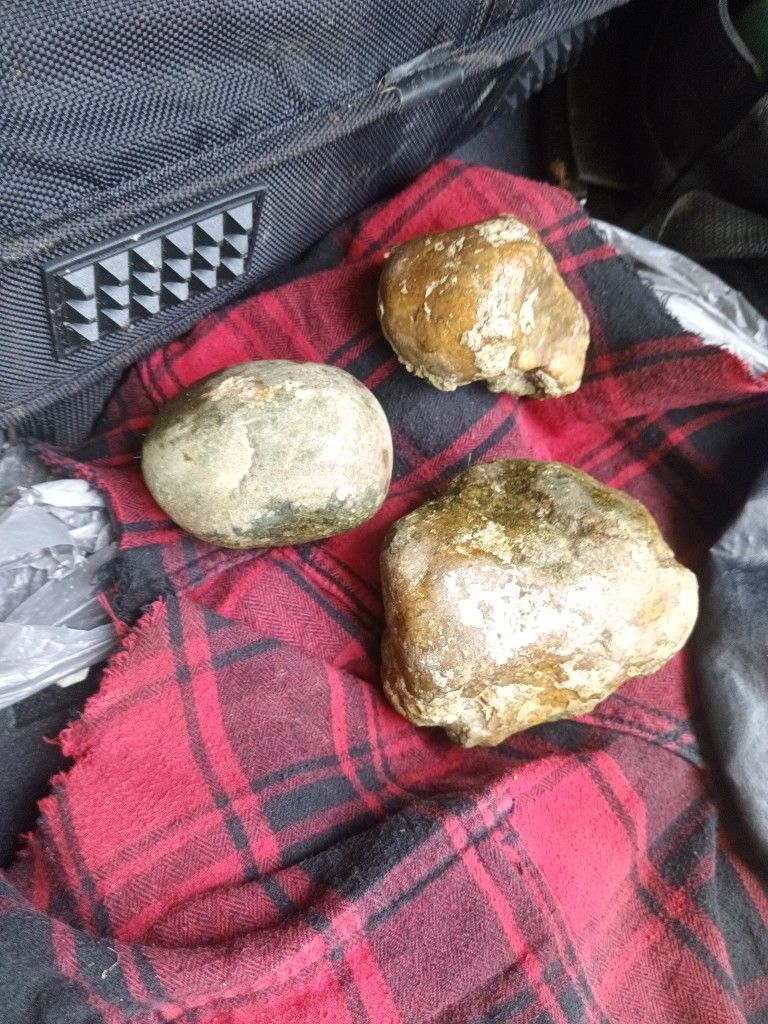 Rocas geoda O Fósil