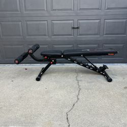 Bench Press  Bench 