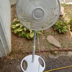 Oscillating Fan 