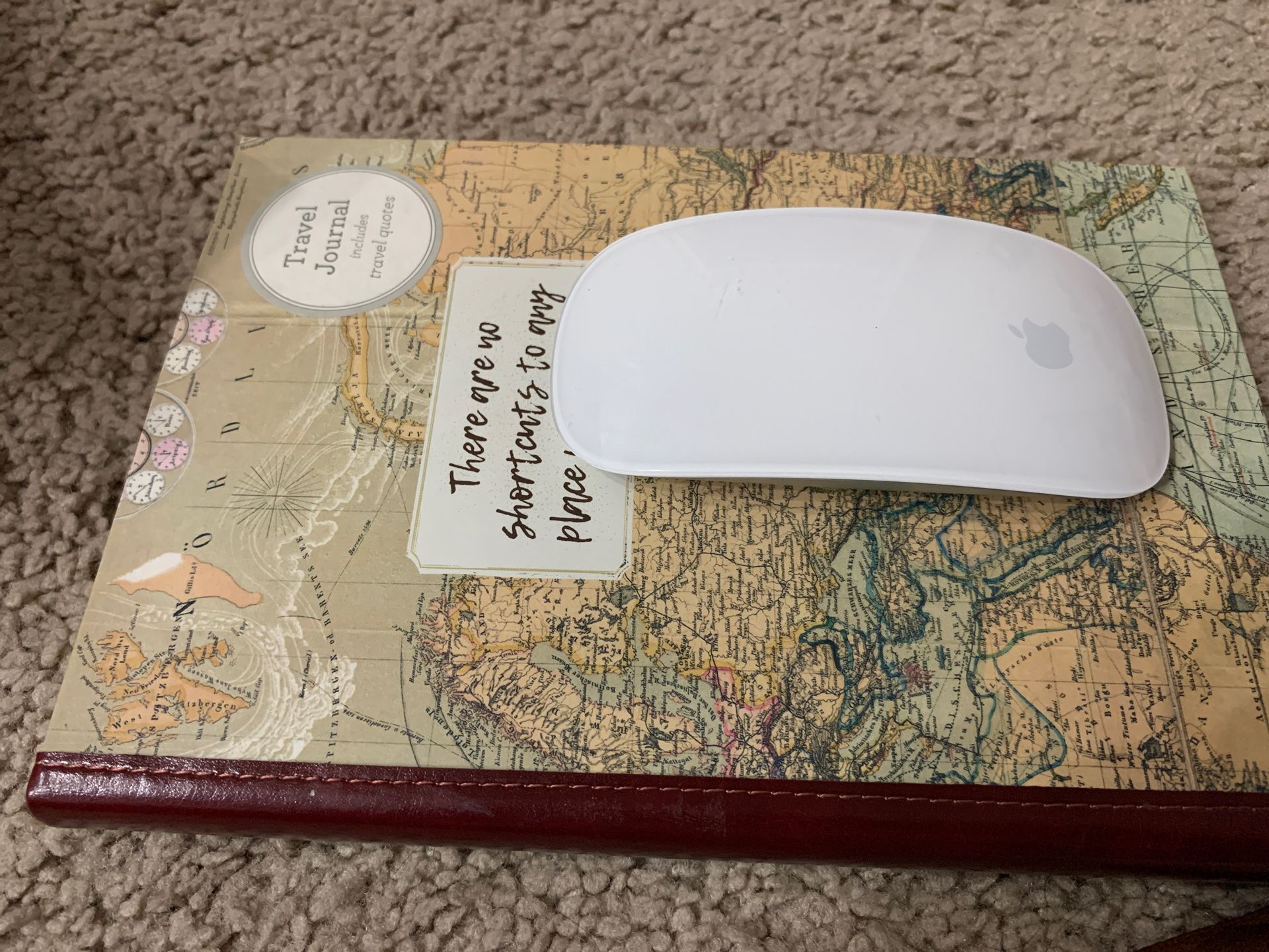 Apple mouse