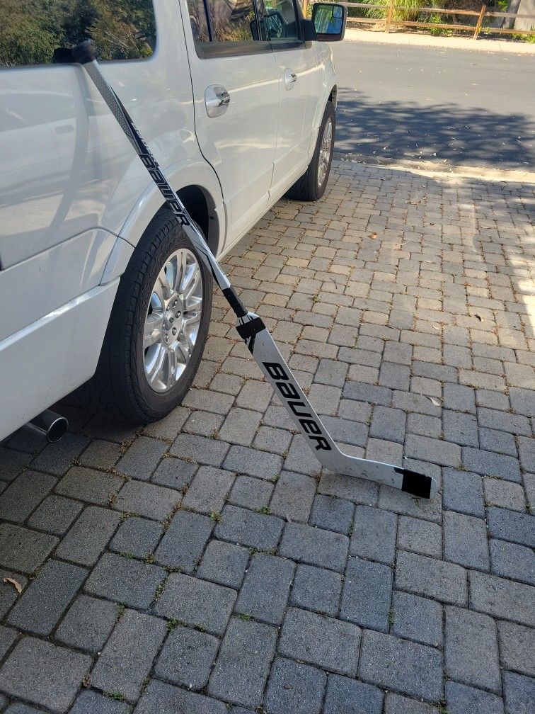 Goalie Stick