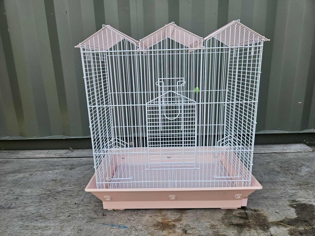 Pink Bird Cage