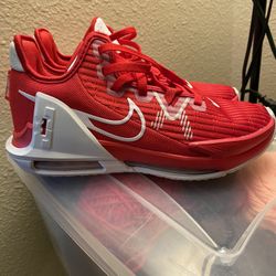 Nike Lebron Witness Basketball Shoes 