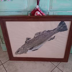 Local Gyotaku Fish Art 27.5x21.5