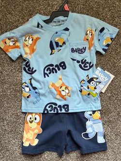 Bluey Toddler 2T & 5T  Short Outfits $6 each