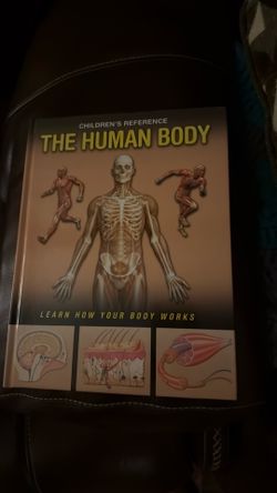Children’s reference of the human body