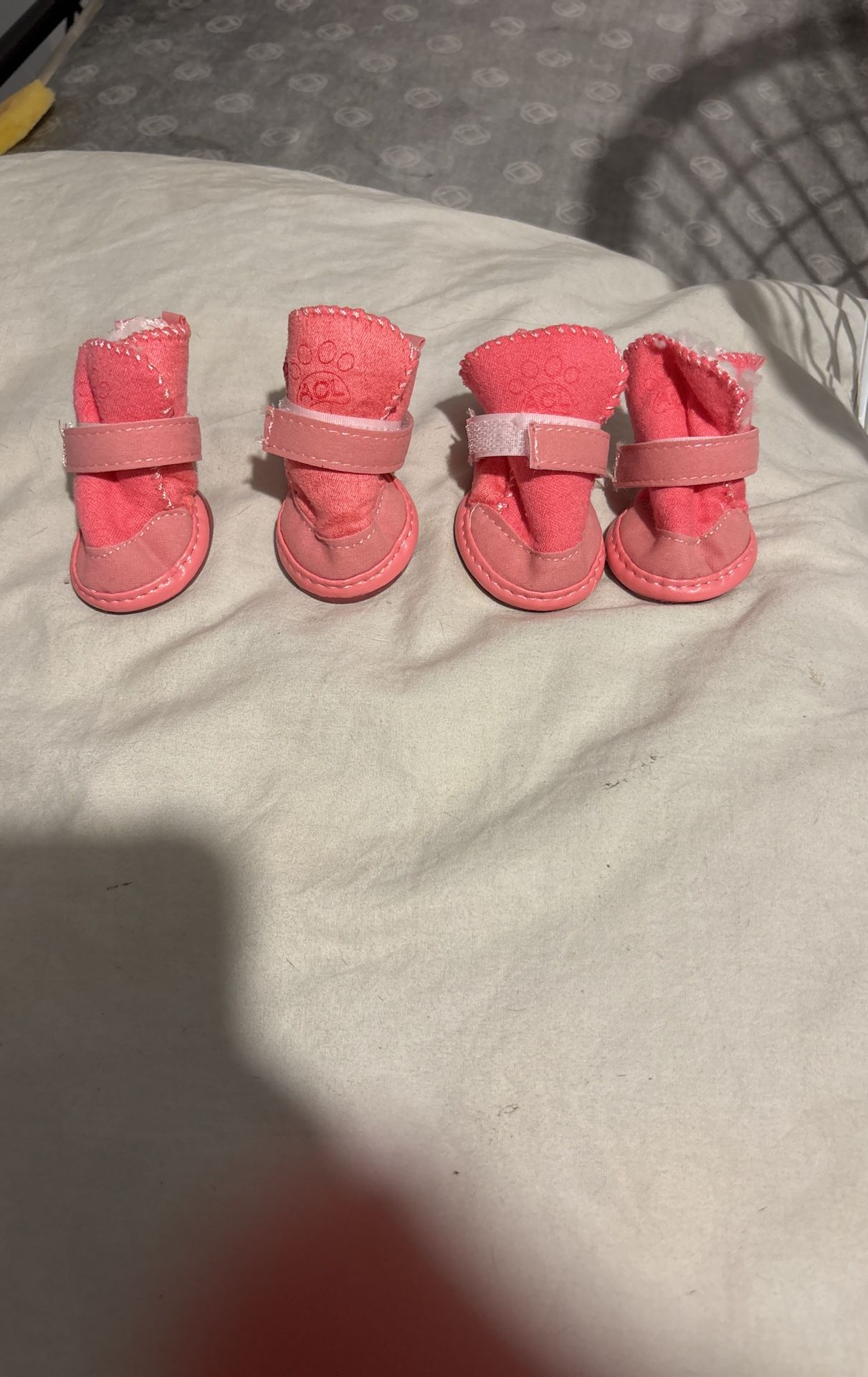 Pet Shoes