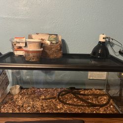 Reptile Tank 
