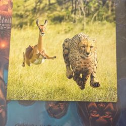 Tame impala Vinyl Record  (limited Edition)