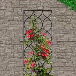 Powder-Coated Steel 6 Foot Tall Decorative Flower Frames / Outdoor Trellis x 5