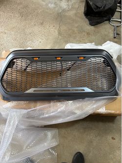 Grey raptor grille
