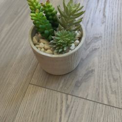 Artificial Succulents In Pot