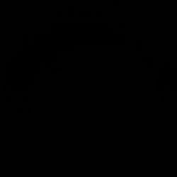 COBB Accessport V3 for Focus/Fiesta ST