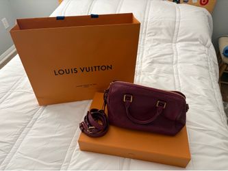 Louis Vuitton Speedy 25 soft
