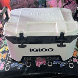 Igloo Cooler