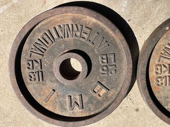 IMB International 25 lb Cast Iron Weight Plates