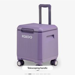 Igloo Purple Cooler