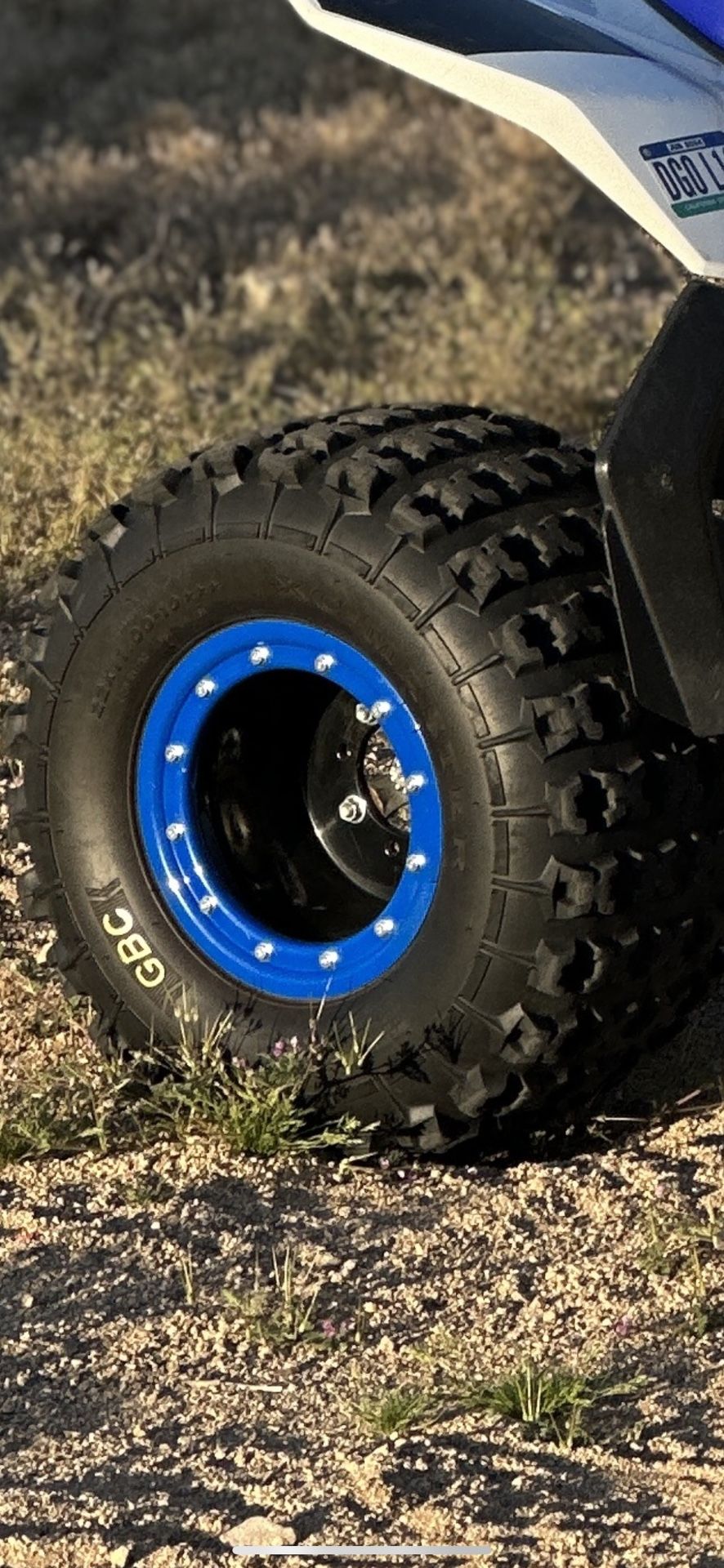 Alba Quad Beadlocks 