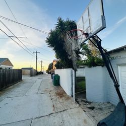 FREE basketball Hoop