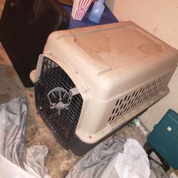 Dog Kennel