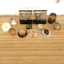 Paperweights And Set Of Book Ends 
