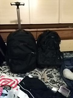 Traveling bags