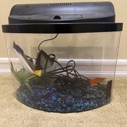 Aquarium 