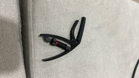 D’Addario Capo
