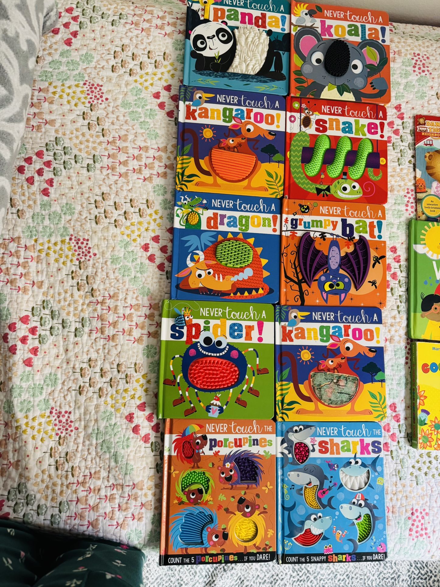 Never Touch Series Book (Set Of 10 ) Pristine Condition