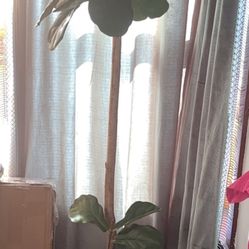 Floor artificial plant