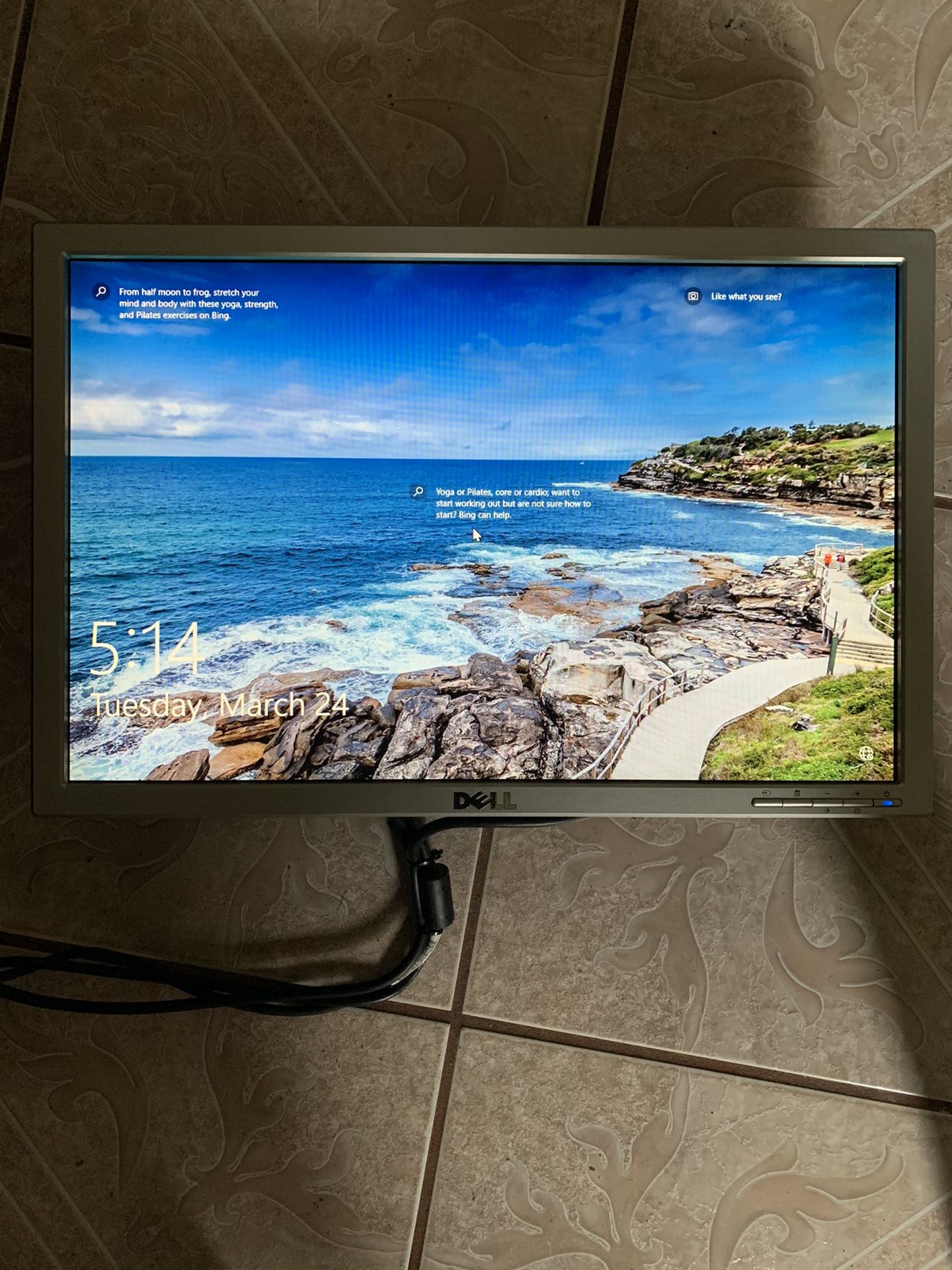 Dell 19” Flat LCD Monitor DVI/VGA