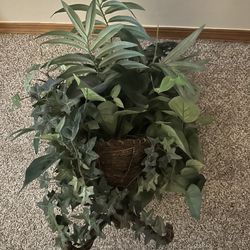 🌿 Fake plant in a 3 legged round dark wicker  basket in like new condition! 2 of the 3 legs are visible in the first photo. Round basket measures 15”