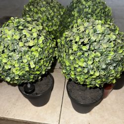 Small Artificial Plants