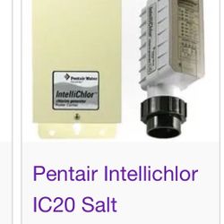 Pentair Swimming Pool And Spa Salt System. Intellichlor