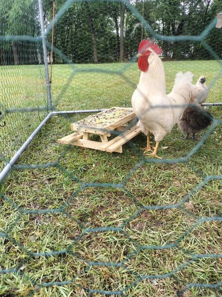 Brand New Handmade Chick Nick Table