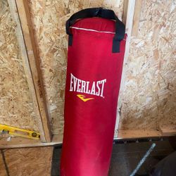 Everlast Punching Bag 