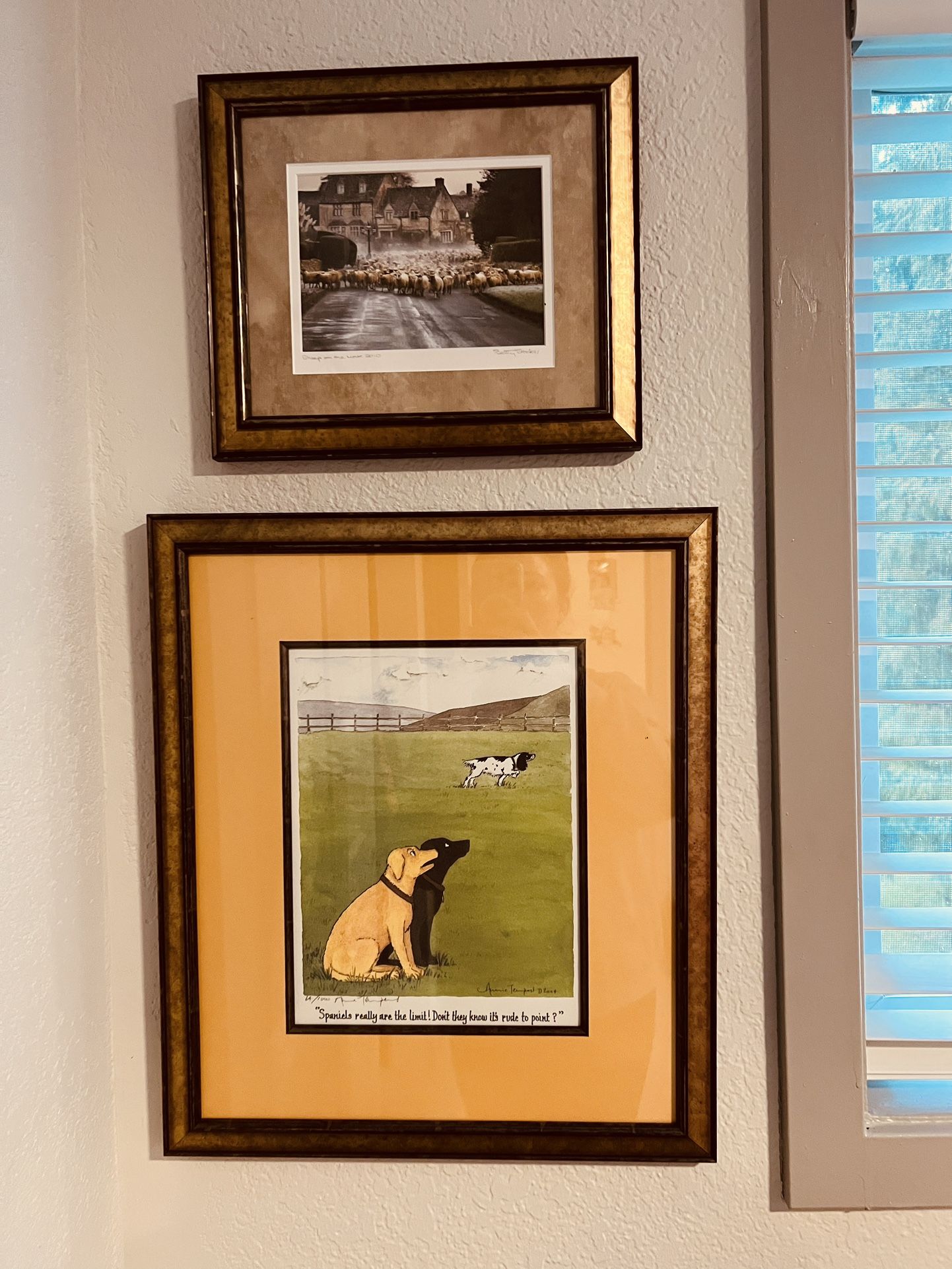 Collection Of 12 Framed Art for Sale in Kirkland, WA OfferUp