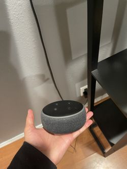 Echo Dot
