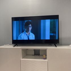 50 Inch Vizio TV