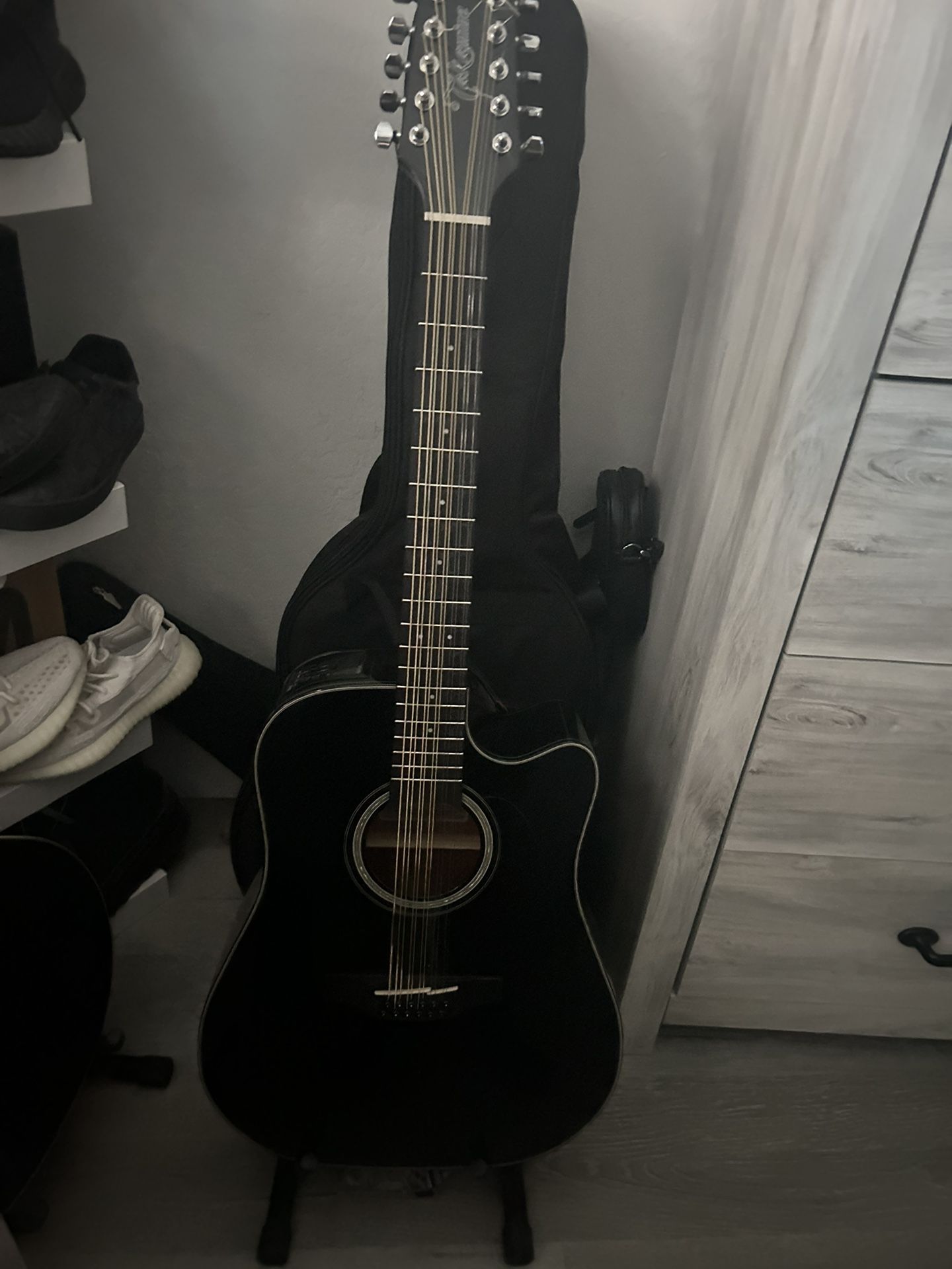 takamine g series