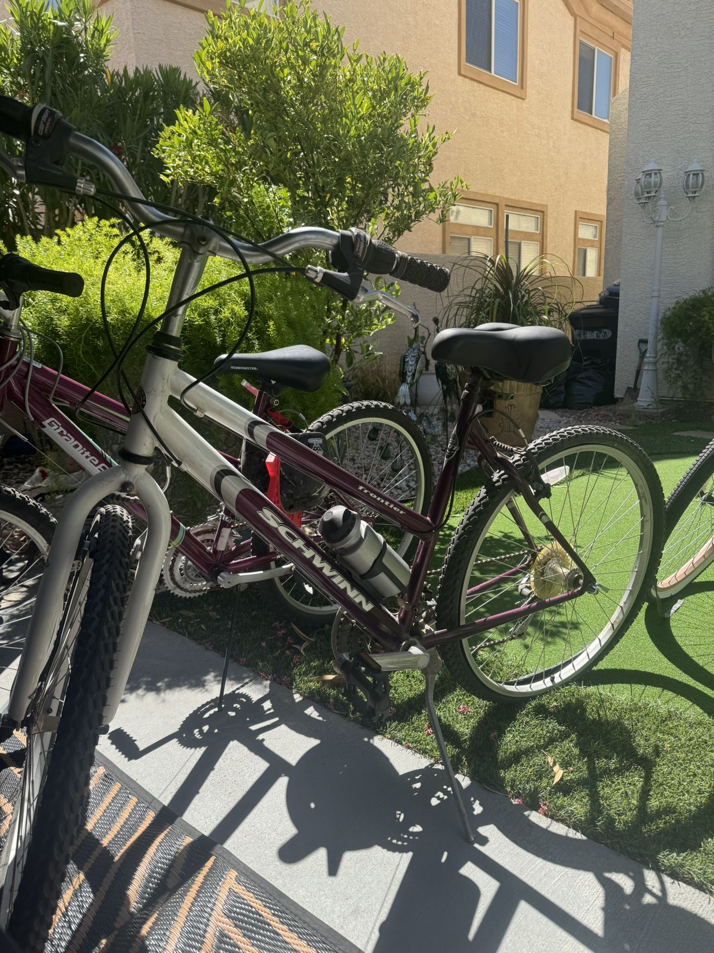 Adult Schwinn Bike