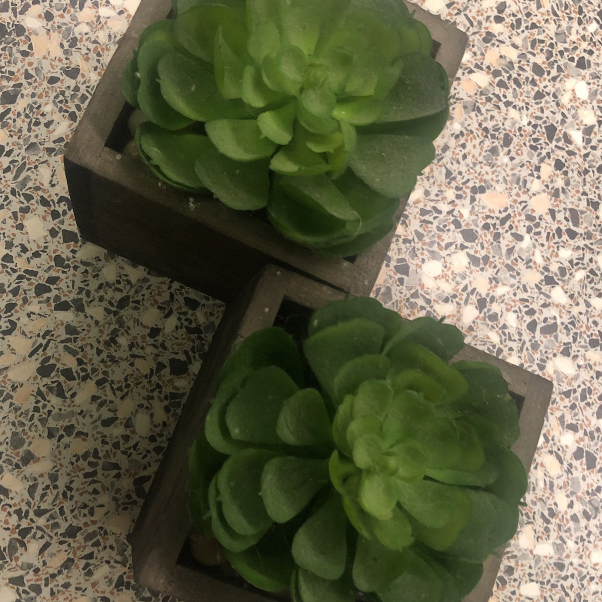 Set Of Two Fake Succulent Plants