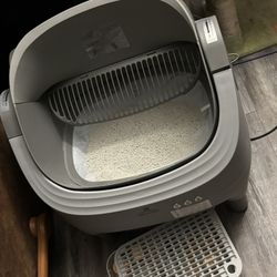 Automatically Litter Box