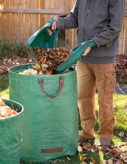 Pair of Leaf Scoopers