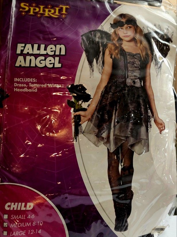 Spirit Fallen Angel Costume