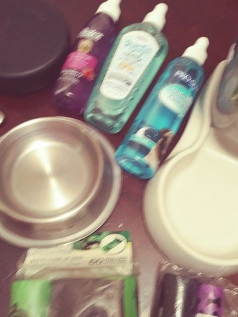 Variety of Pet Supplies