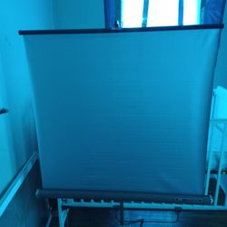Vintage Sears Projection Screen