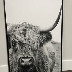 Highland Cow Picture, Hobby Lobby, Black and White