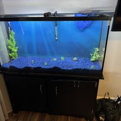 60 Gallon Tank