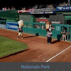 NATS Tix Cheap Pups In The Park- 3 Seats And A Dog Seat!